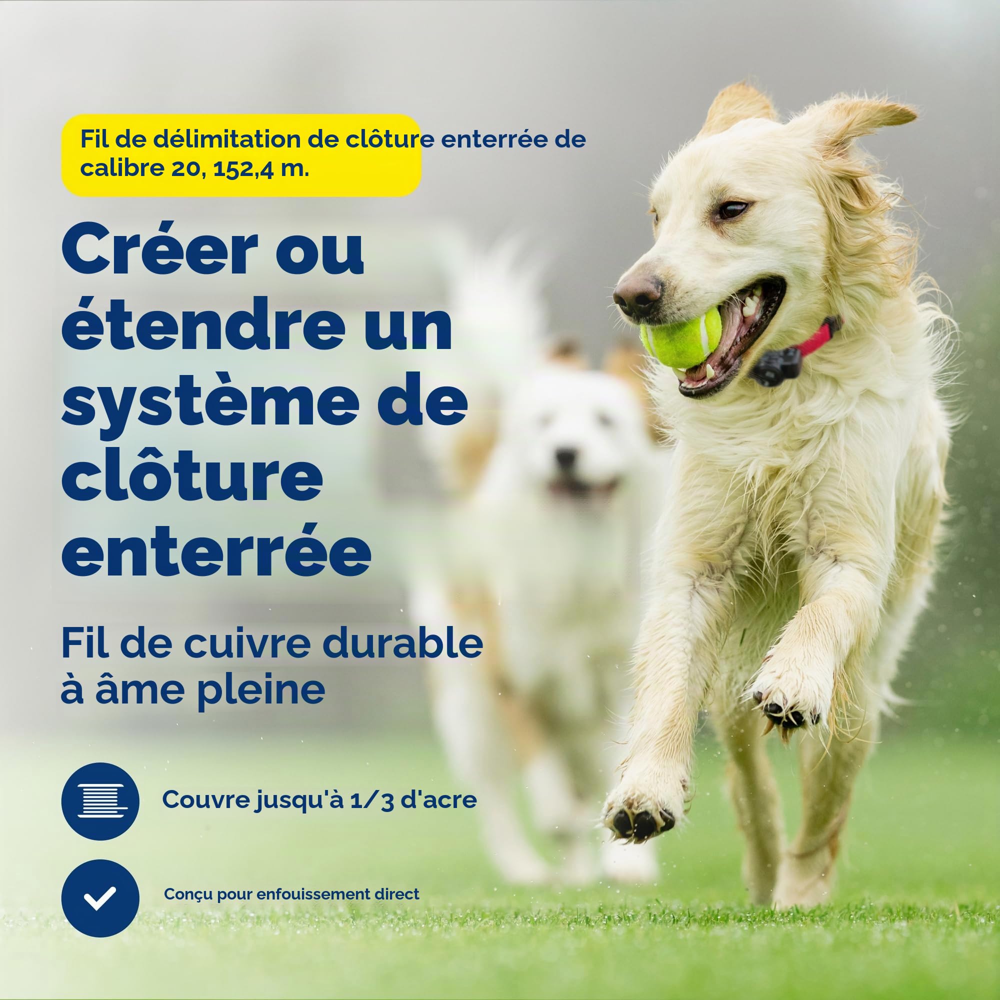 PetSafe Boundary Wire Bobine de Fil de cuivre Solide de Calibre 20, Fil de clôture enterré pour Animaux de Compagnie, Les Couleurs Peuvent Varier, de la société mère de la Marque Invisible Fence