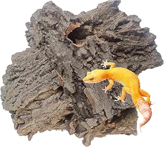 Reptiles Cork Bark Bits Substrate,1 LB Terrarium Bark Bedding Bulk for Geckos Snake Isopods Bearded Dragon Spiders Lizard Tarantula Hermit Crabs