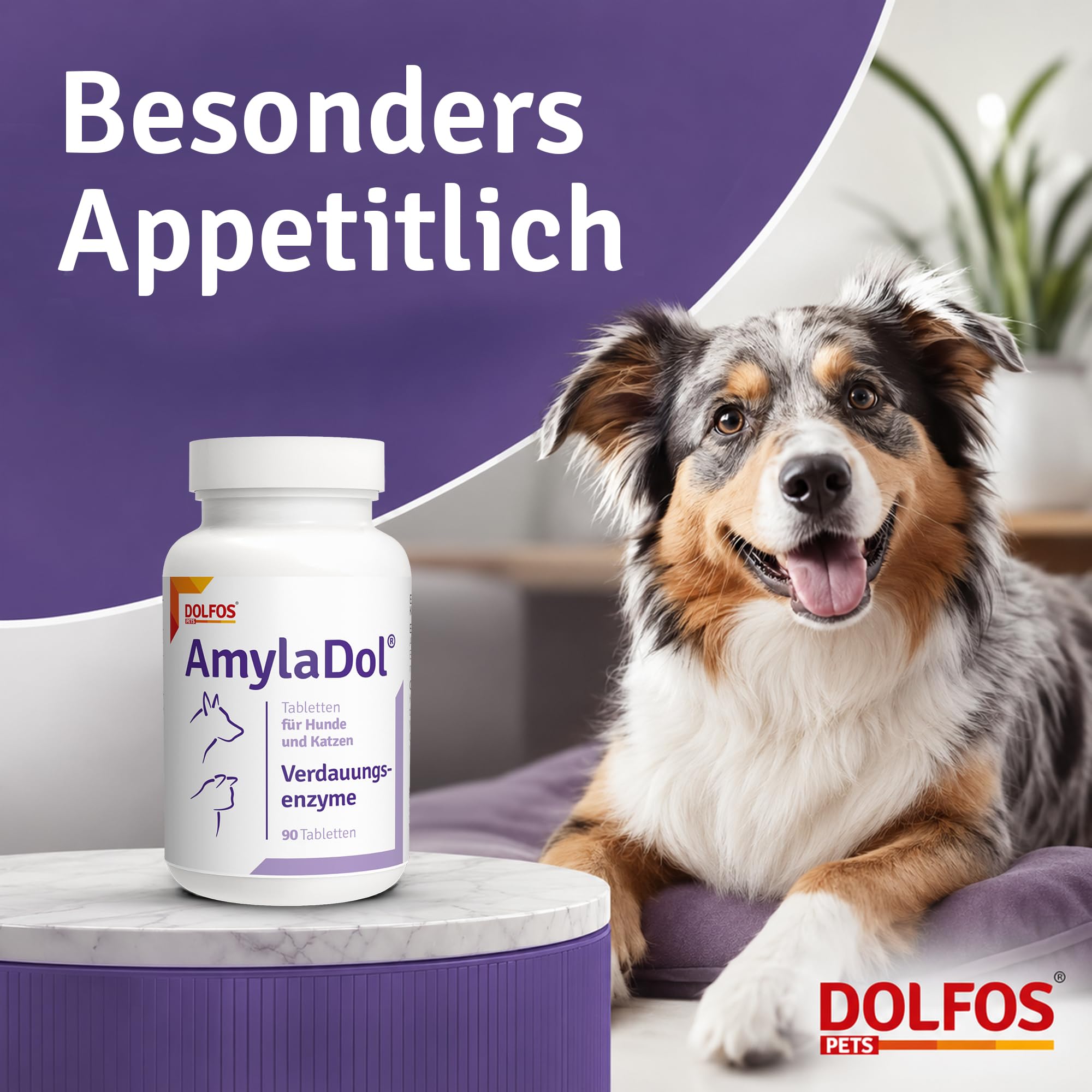 AmylaDol Verdauung Hund 90 Tabletten, Natürliche Verdauungsenzyme einschließlich Amylase, Lipase und Protease. Diätetisches Nahrungsergänzungsmittel bei Verdauungsstörungen bei Hund und Katze