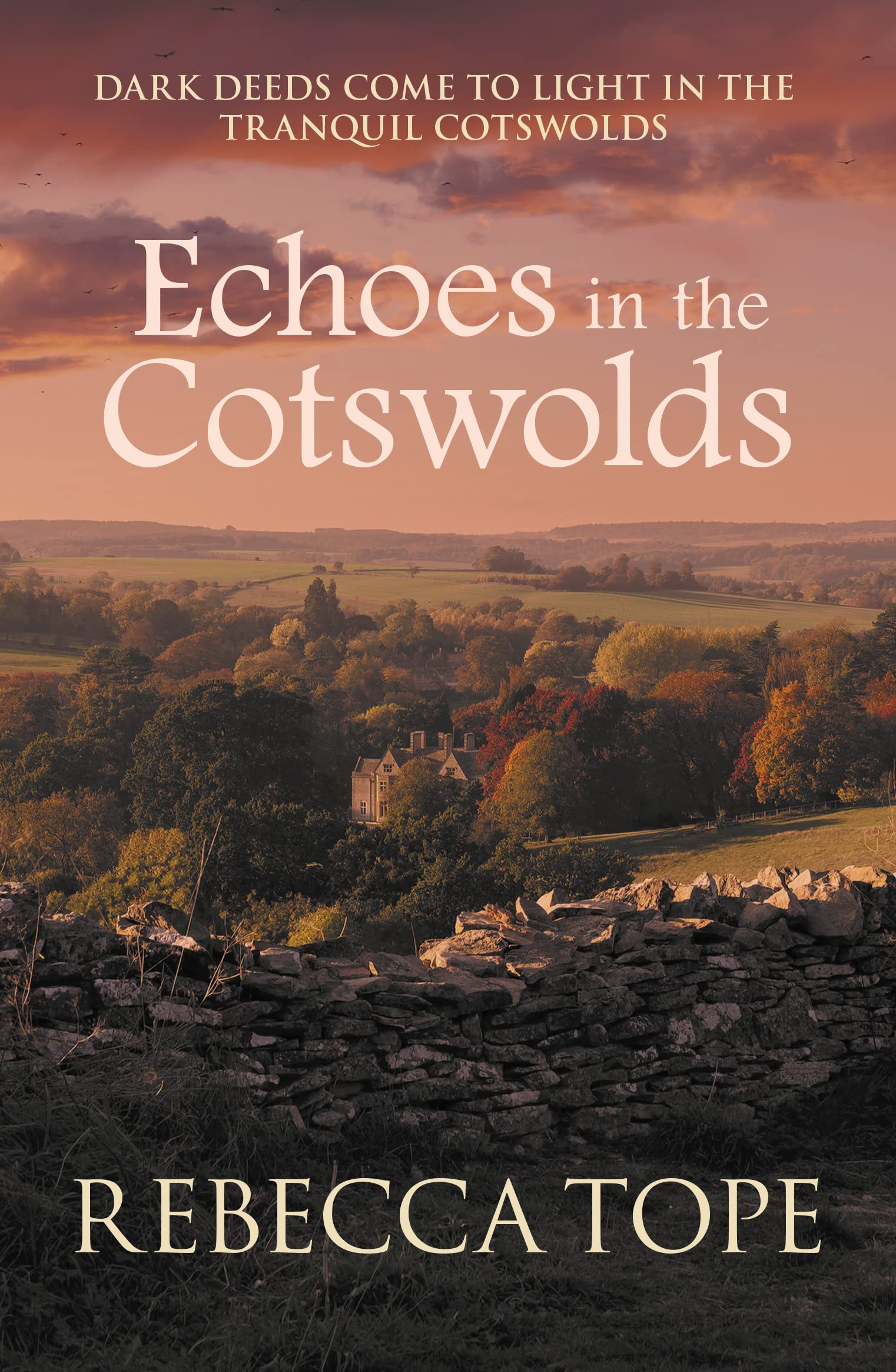 Echoes in the Cotswolds by Rebecca Tope PAPERBACK 9780749027322