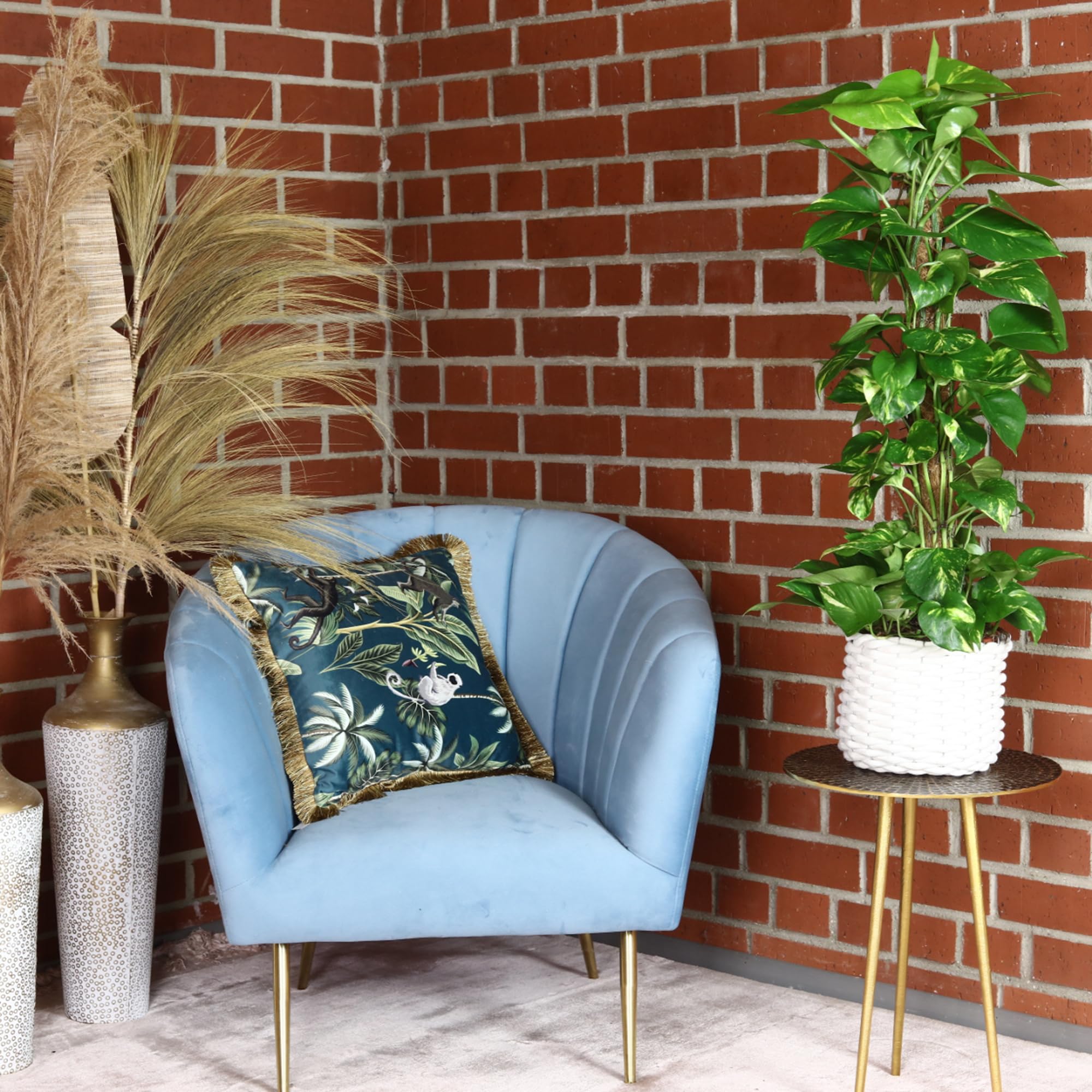 Efeutute am Moosstab - pflegeleichte Zimmerpflanze, Epipremnum aureum - Höhe ca. 80 cm, Topf-Ø 19 cm