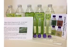 Algae Bloom Experiment Kit: Understanding Local Water Algae Susceptibility