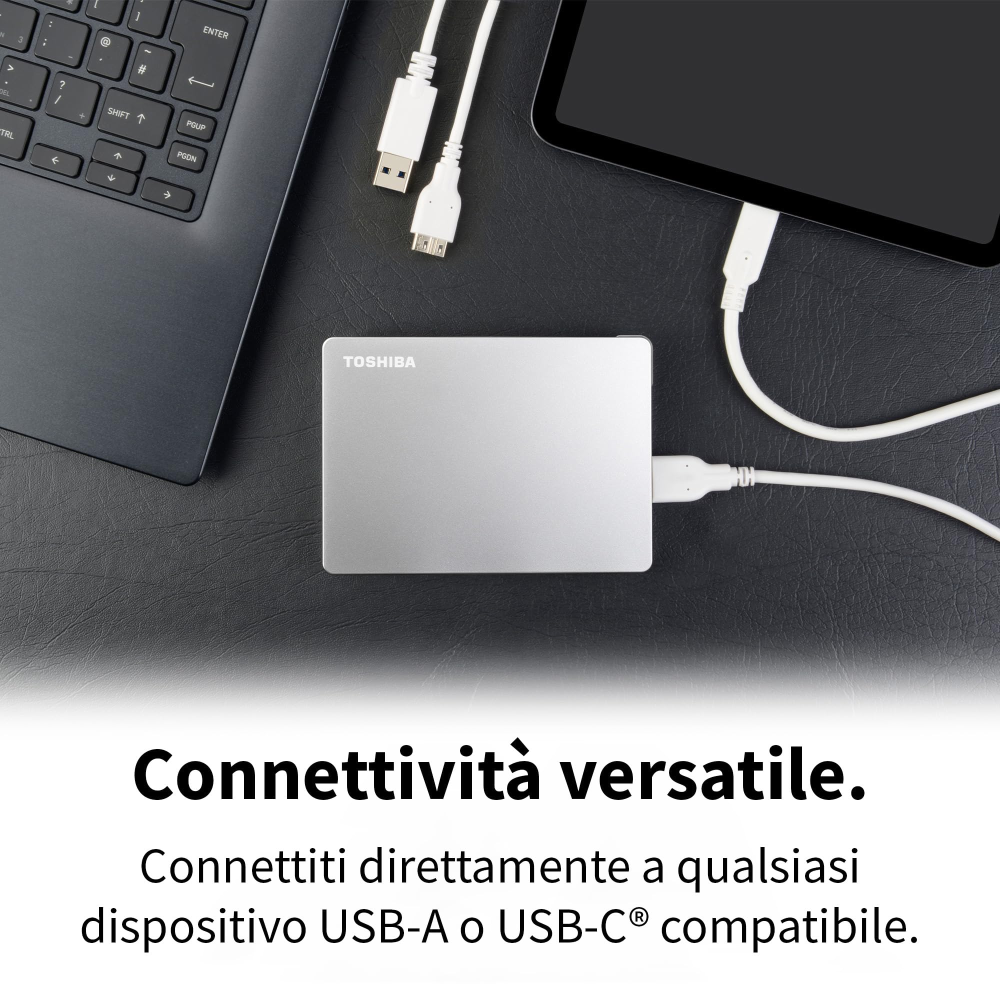 Toshiba Canvio Flex 1TB silver