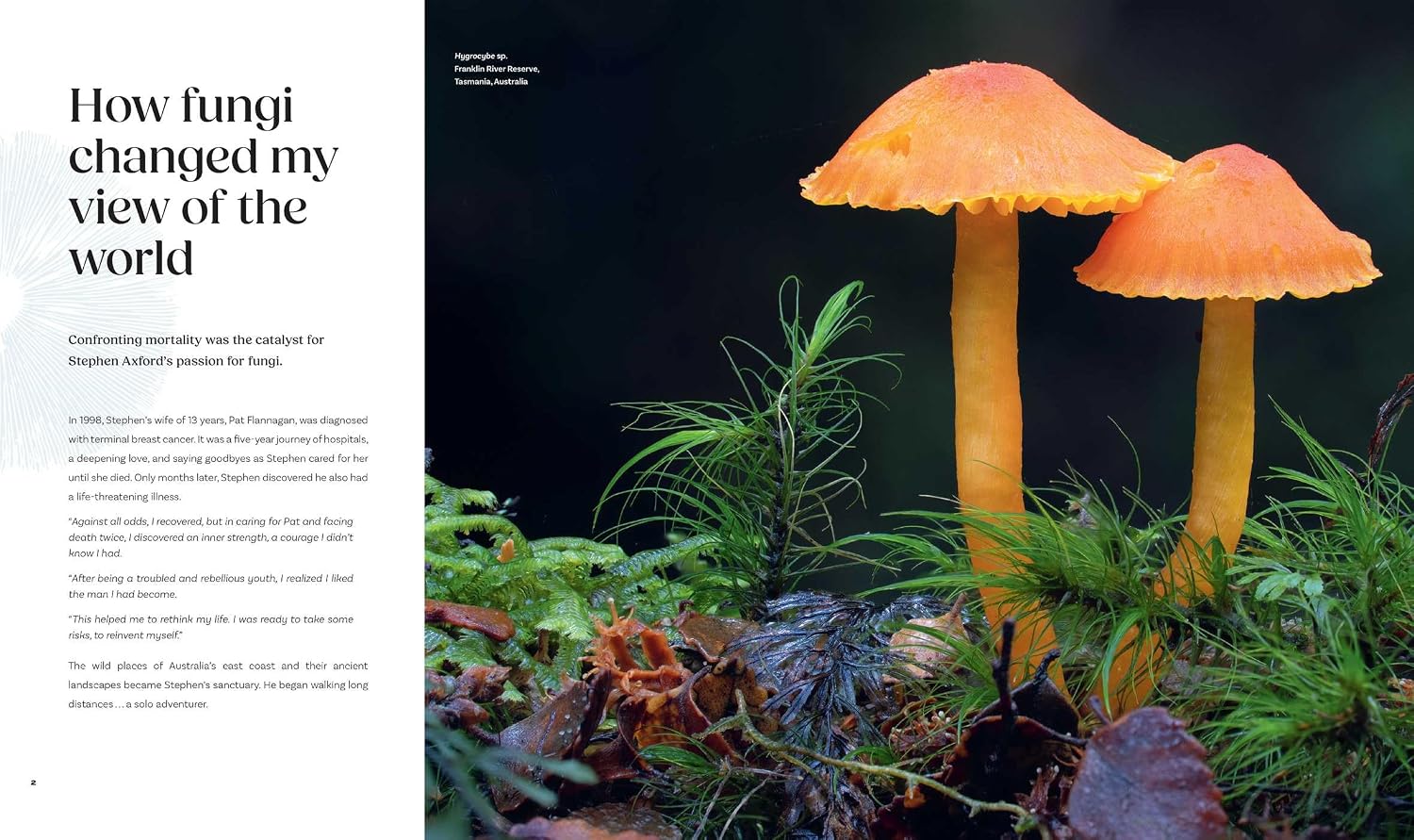 Planet Fungi: A Photographer's Foray      Hardcover – September 8, 2026