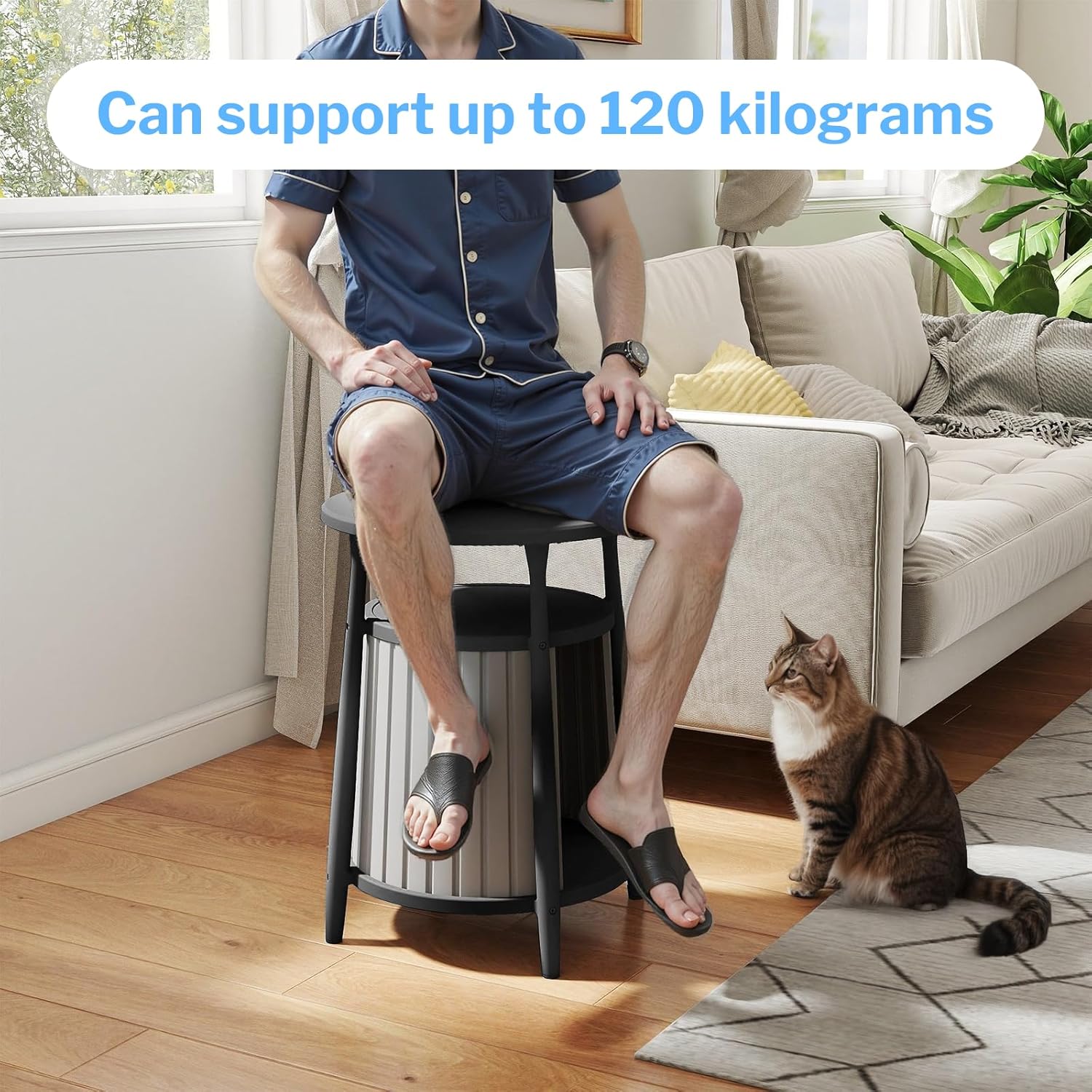 Indoor Outdoor Multi-Functional Side Table with Pet Shelter, 17.72×17.72×23.54INCH Stylish End Table with Hidden Pet House for Small Cats (Black, 17.72 * 17.72 * 23.54)