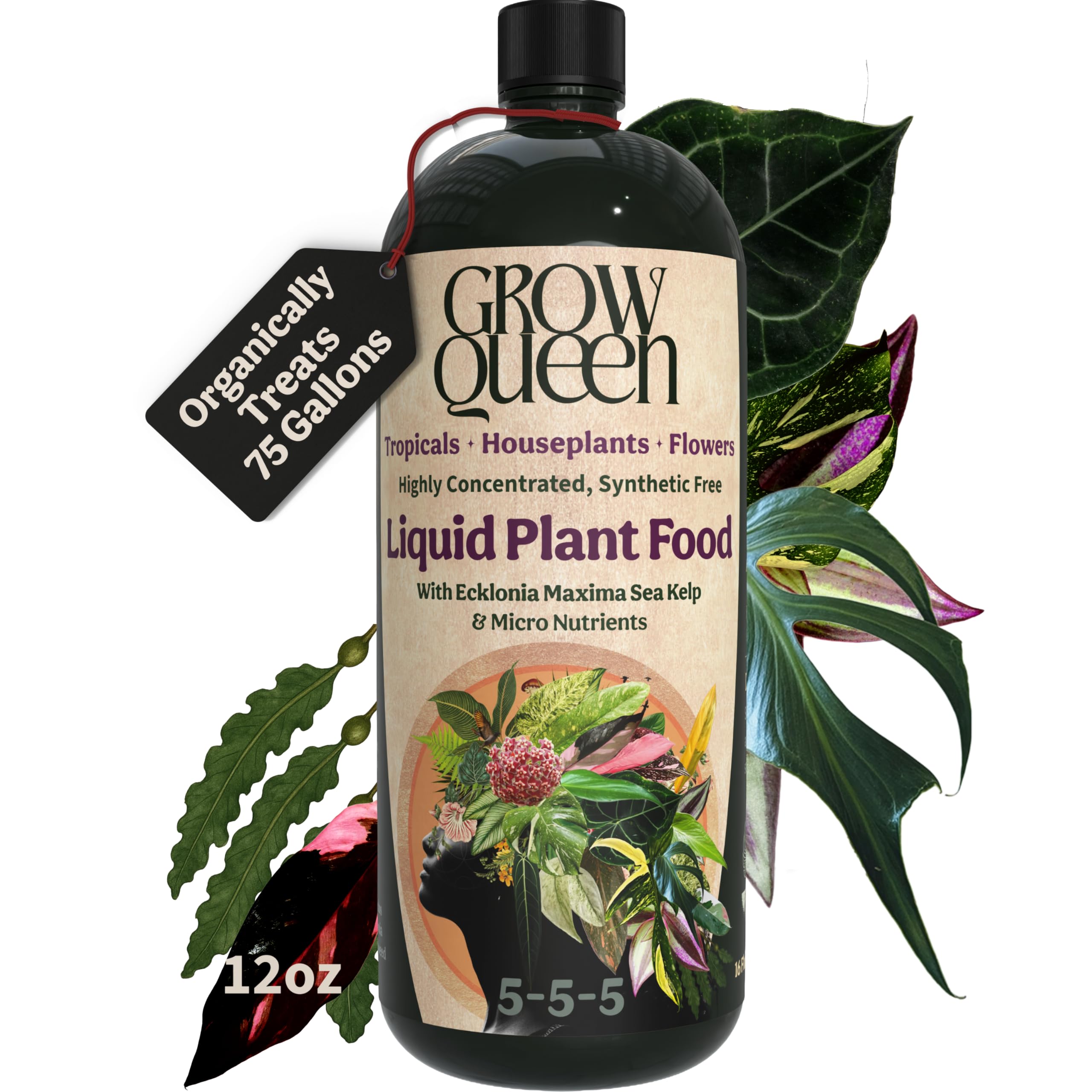 Organic Liquid Indoor Plant Food, Houseplant, Tropical & All-Purpose Indoor Plant Fertilizer, Organic Liquid Fertilizer 5-5-5 with Sea Kelp, 12oz Treats 75 Gall
