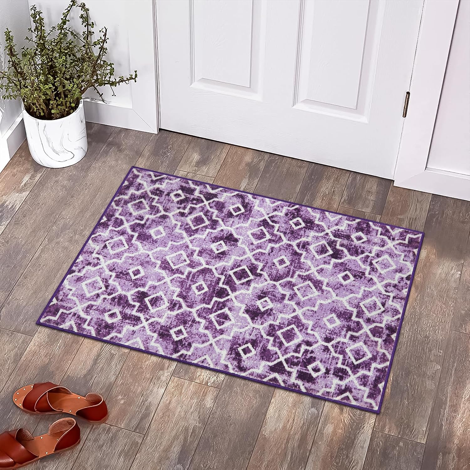 Moynesa Boho Moroccan Area Rug, 2x3 Modern Washable Rug for