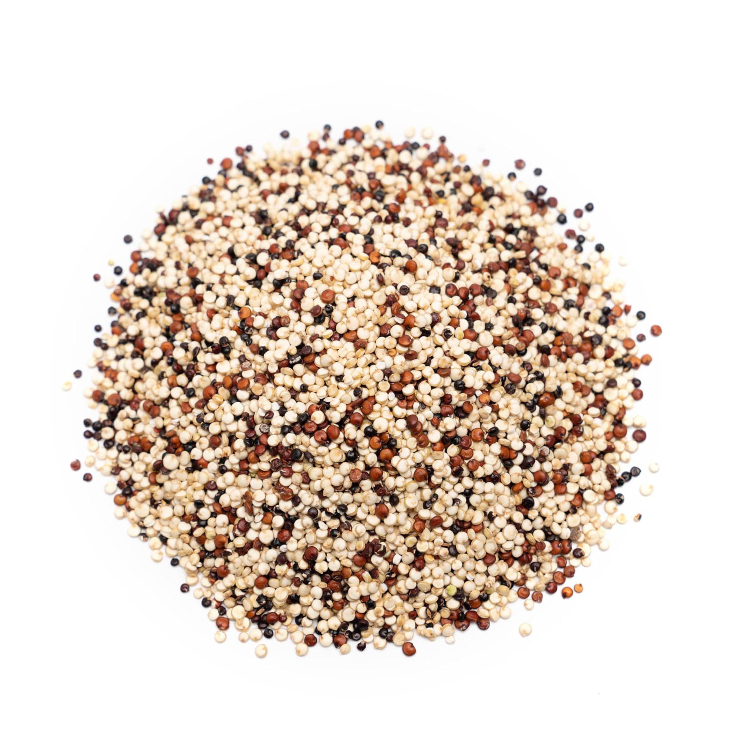 Bongiovanni Bontà Naturali Mélange de Quinoa Tricolore Biologique 5 kg