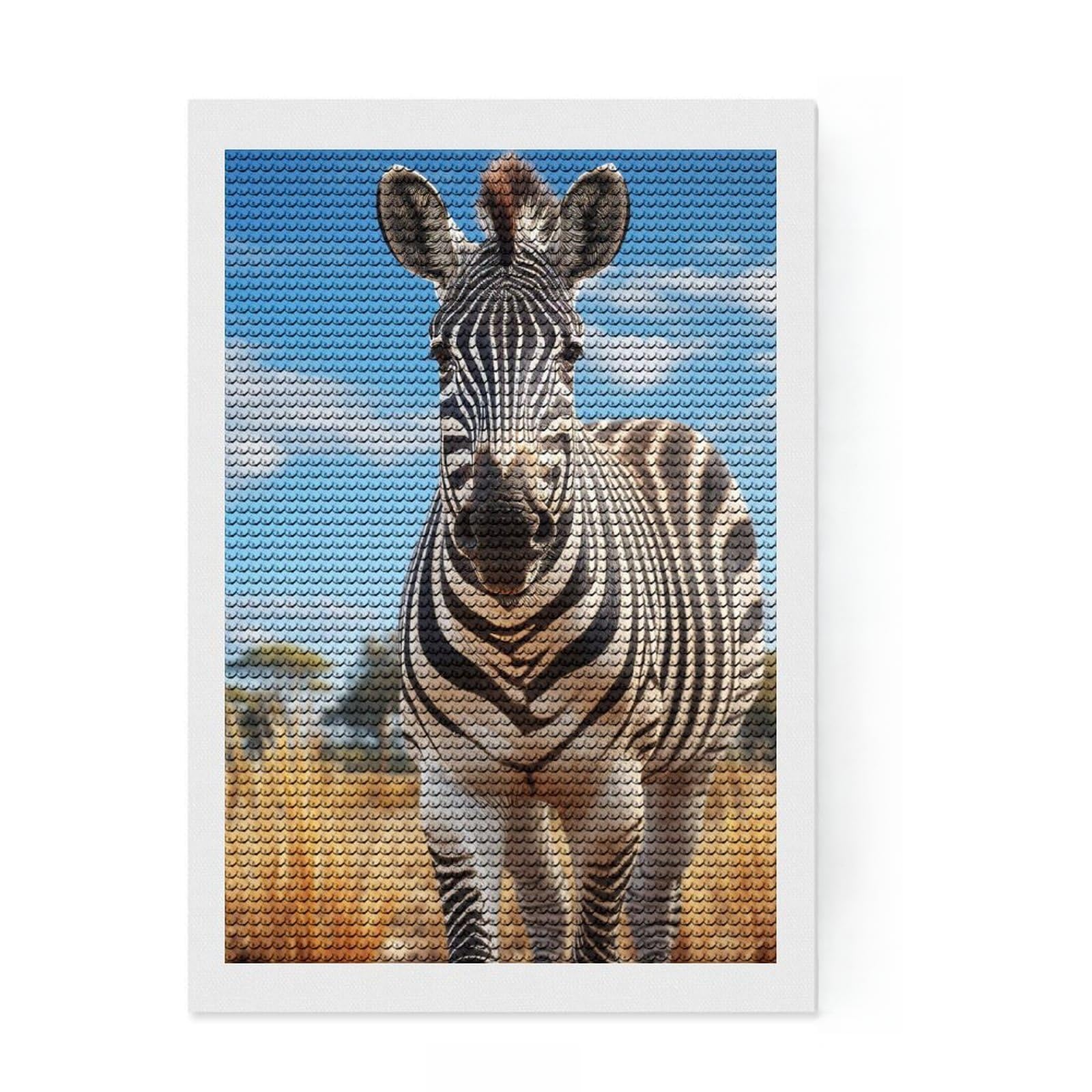 Junmoney Zebra Diamond Painting Kit 8"x12", Decorate Your Room, Neat Printed Canvas, Adhesive Canvas, Bedroom Decor