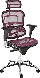 ErgohumanEurotech Seating High Back Mesh Managers Chair, Plum Red