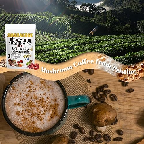 Miniatura 6 de SUNDAFONE Café de hongos con L-teanina, Ashwagandha, melena de león, reishi y 10 hongos adaptogénicos mezcla de café helado de proteína súper