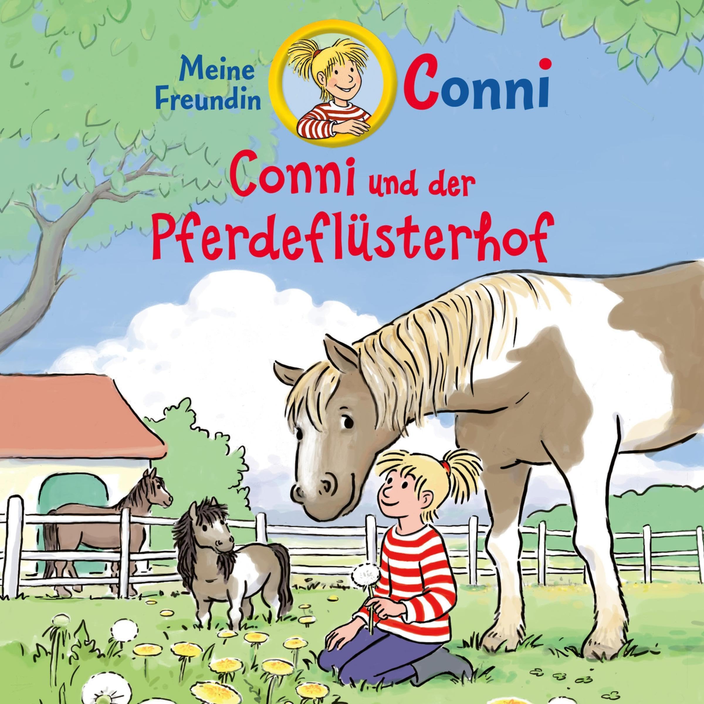 Cover art for Conni und der Pferdeflüsterhof