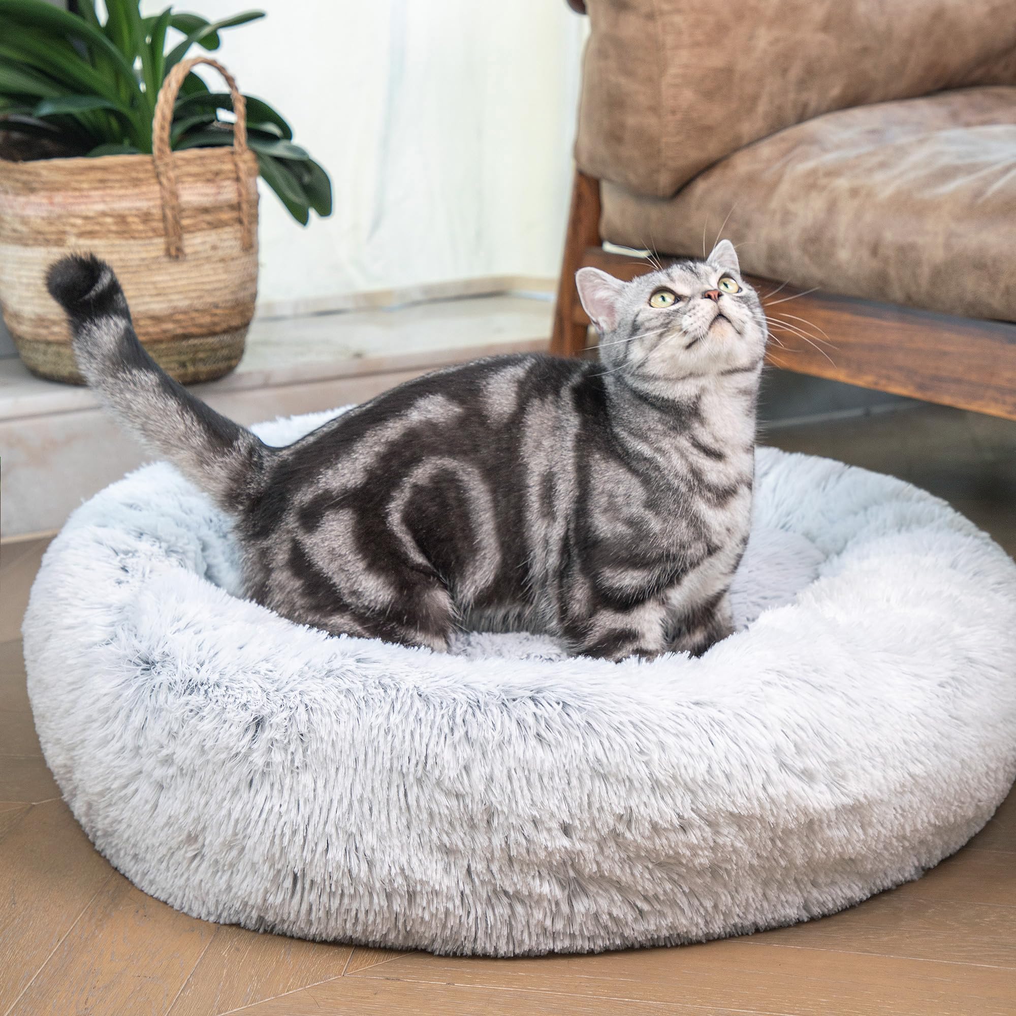 Vannokor Cat Bed for Indoor Cat, Calming Anti Anxiety Donut Cat Bed Fluffy Faux Fur Plush, 20 Inch Warming Cozy Soft Round Kittens Bed, Anti Slip Pet Cuddler Bed for Small and Medium Dog Cat