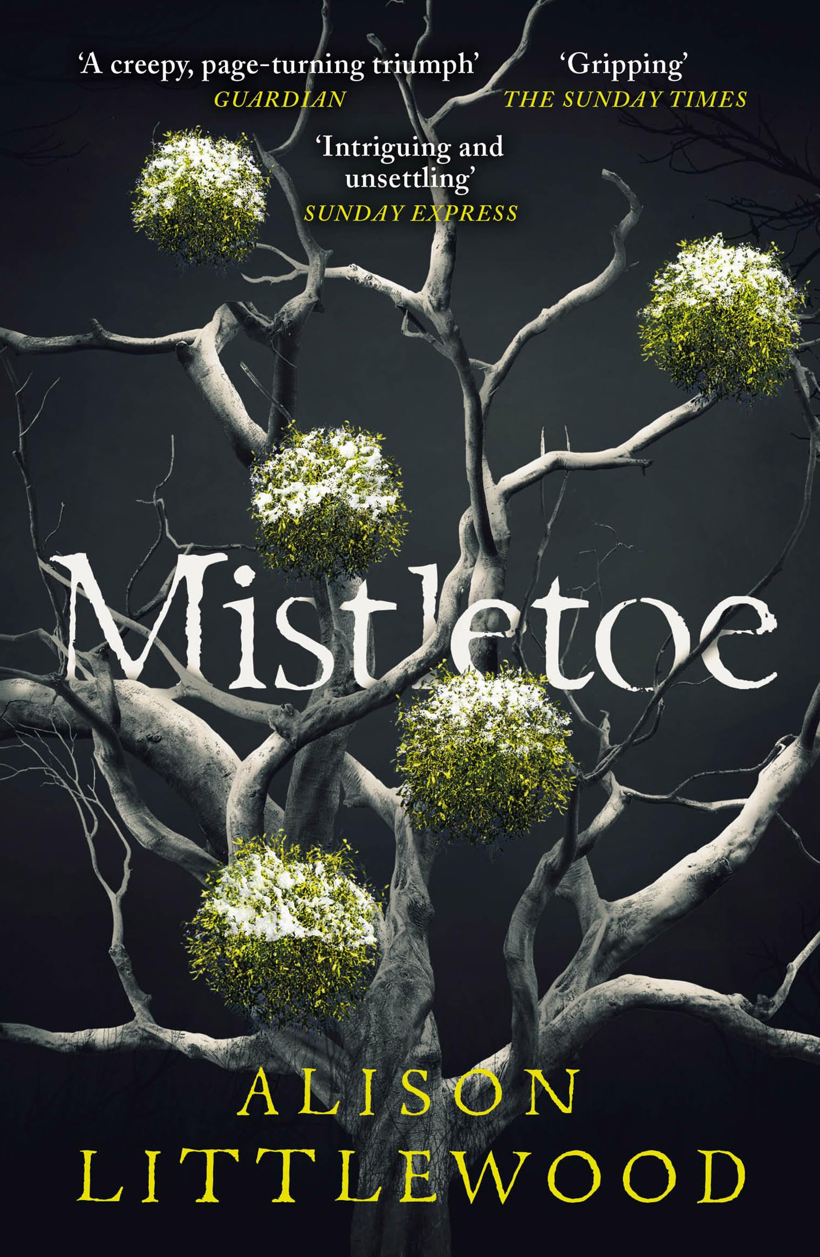 Mistletoe: 'The perfect read for frosty nights'  by Alison Littlewood PAPERBACK