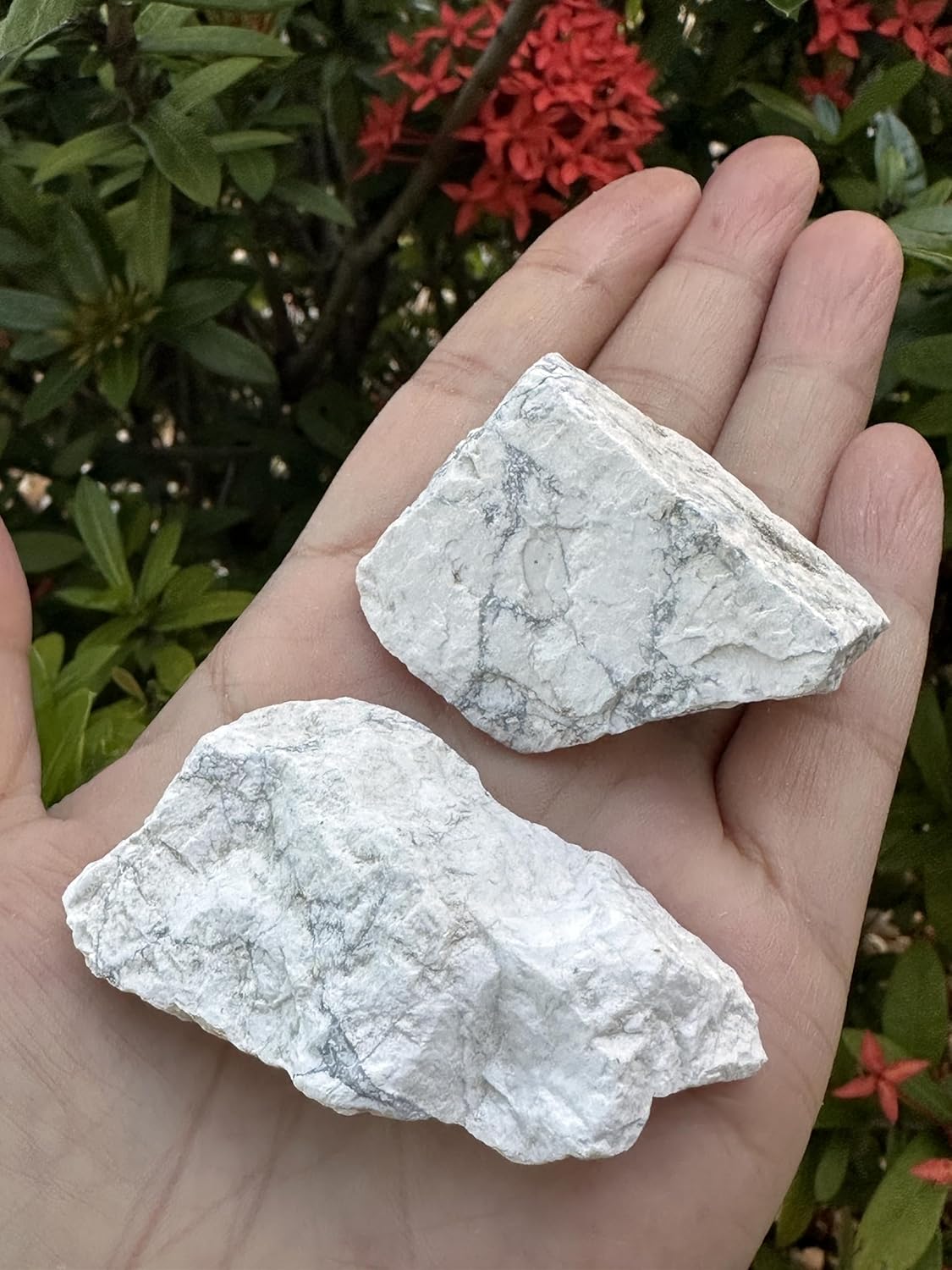GAF TREASURES Wholesale Raw White Howlite Crystals, Natural White Howlite Stone, Natural Rough White Howlite Crystals, White Howlite Rough, White Howlite Healing Crystals (White Howlite, 5 pounds)