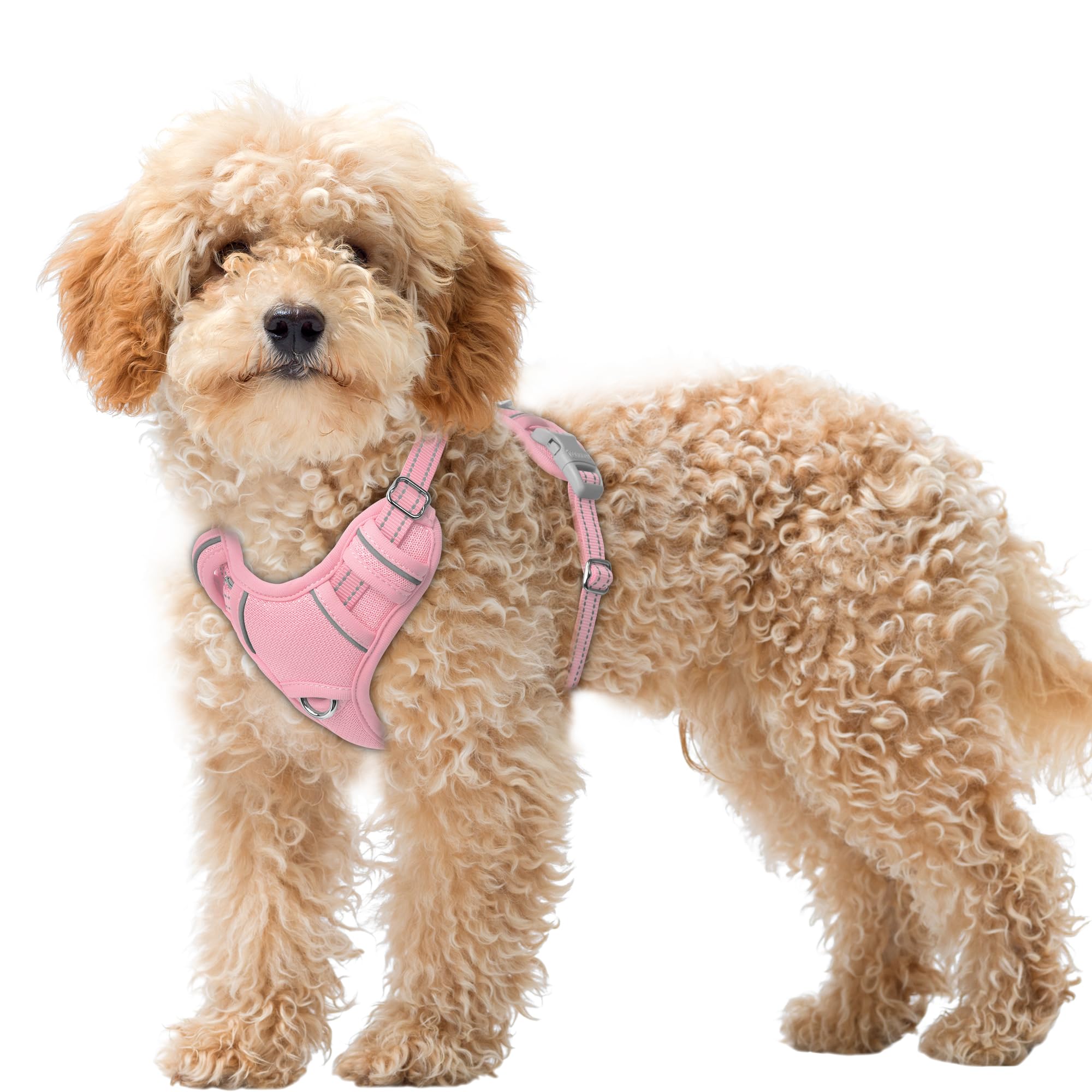 BARKBAY No Pull Dog Harness Large Reflective Dog Harness with Front Clip and Easy Control Handle for Walking Training Running with ID tag Pocket(Baby Pink,XS) — image 1