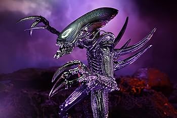 Amazon.co.jp: NECA コレクター収集品 エイリアン Vs プレデター