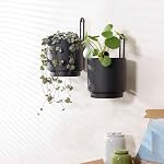 2 Vase de planteur suspendu mural pour les plantes intérieures et extérieures Mur en métal moderne et planificateur de plafond Pot à fleurs minimaliste (Noir, 5.91 de pouce)