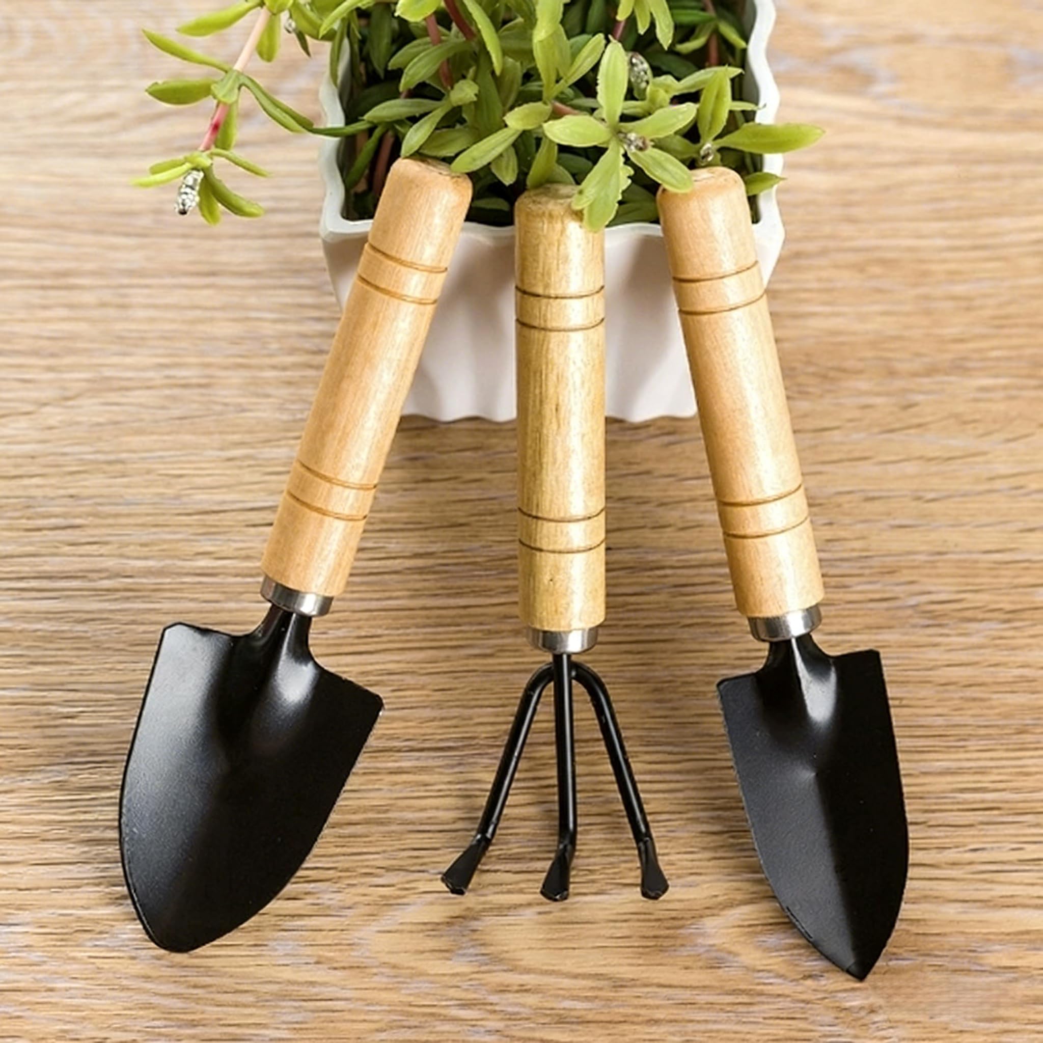 3 Stücke Mini Gartengeräte Set, Gartenschaufel Gartenwerkzeug Spaten Und Schaufel, Sukkulenten-Werkzeuge für die Pflege von Gartenpflanzen