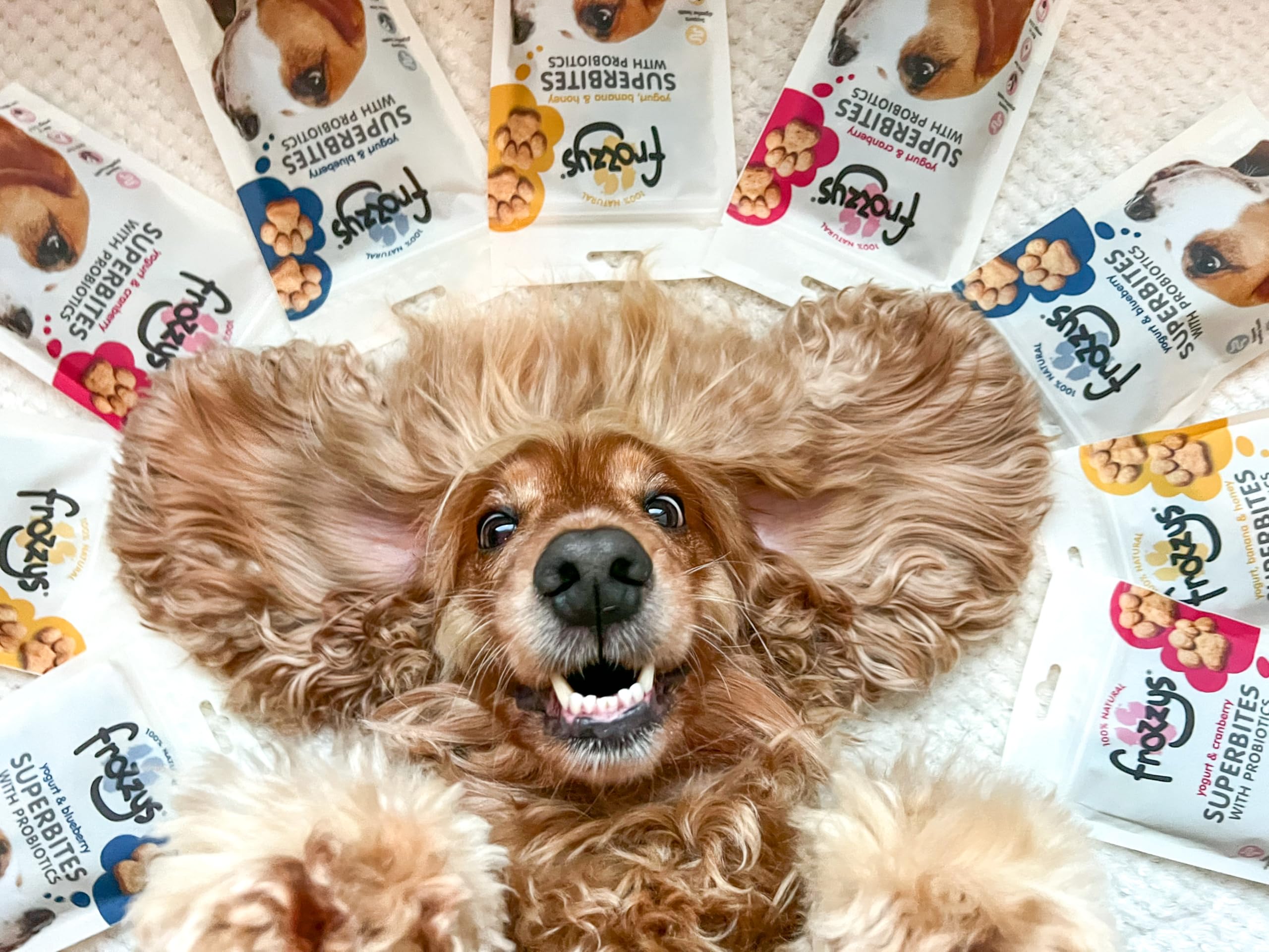 Frozzys Superbites Grain Free Dog Treats with Probiotics, Rich in Omega 3/6 for Skin Coat & Digestive Health - Image 4
