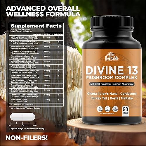 Miniatura 3 de Complejo de extracto de hongos con pimienta negra, melena de león, cordyceps, cola de pavo, chaga, shiitake, maitake, suplementos cerebrales