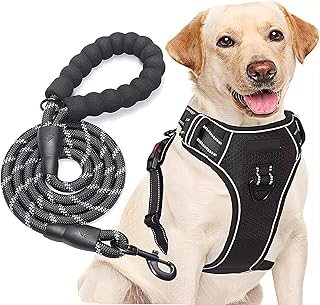 k9 explorer harness amazon