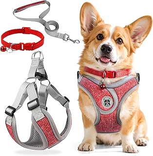 3 Stück Hundegeschirr und Leine Set, Verstellbares Brustgeschirr, Reflektierendes atmungsaktives Hundegeschirr mit D-Ring, Hundegeschirrs Set für Welpen, Kleine Hunde product image