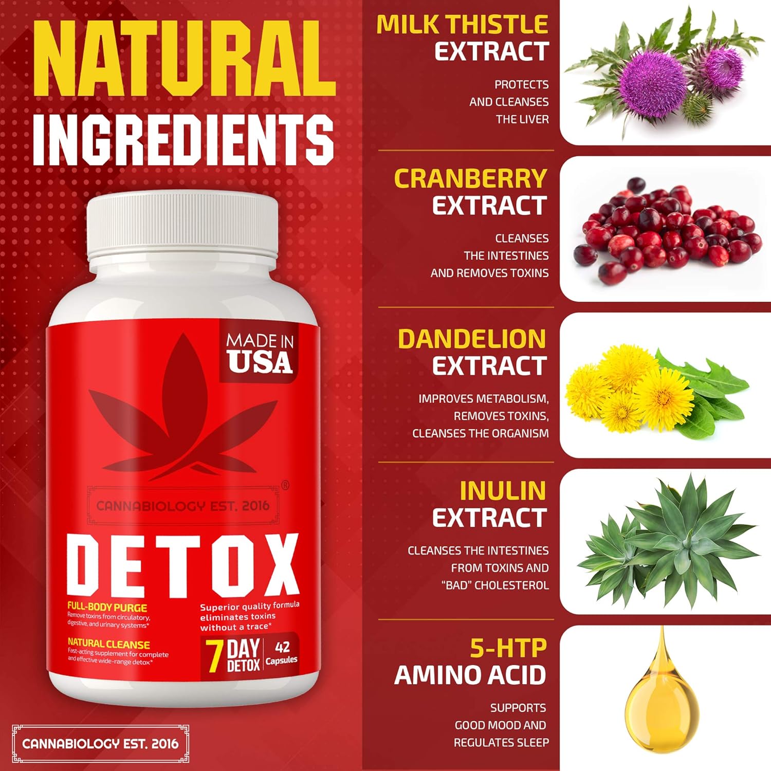 Complete Body Cleanse - Made in United States - Natural, Healthy Cleansing Support for Liver, Urinary Tract, Kidney, Digestive System - 42 Vegan Caps : Health & Household