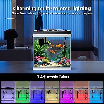 Amazon.com : 4-Gallon Small Fish Tank with Filter, Heater