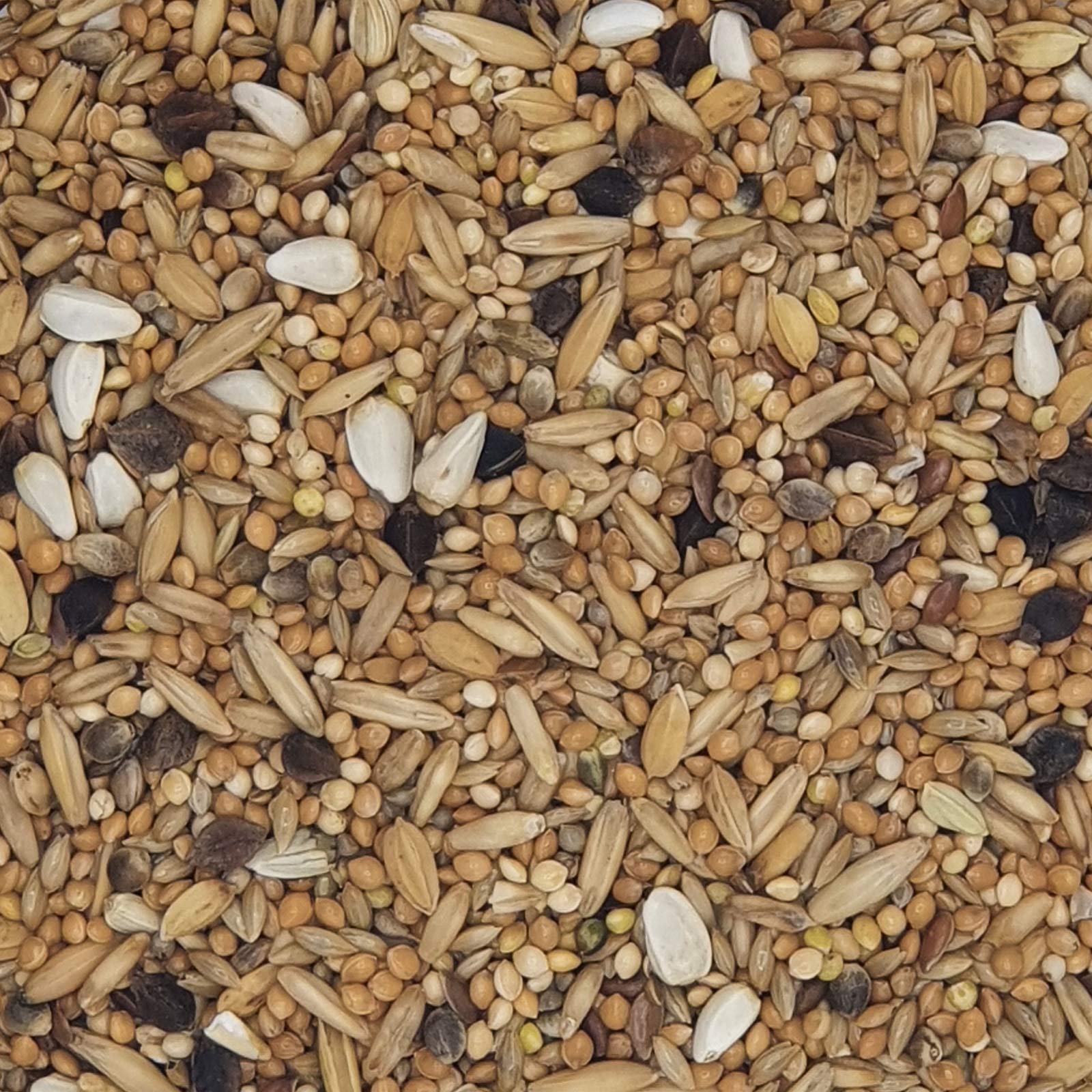 Qualità Seedmixtures per Inseparabile