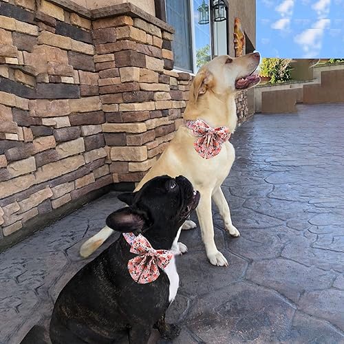 Miniatura 4 de Unique style paws Collar para perro con corbata ajustable rosa para cachorros y gatos pequeños medianos y grandes talla M