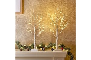2 FT Christmas Birch Tree with LED Lights - PEIDUO Fairy Spirit Light Tree