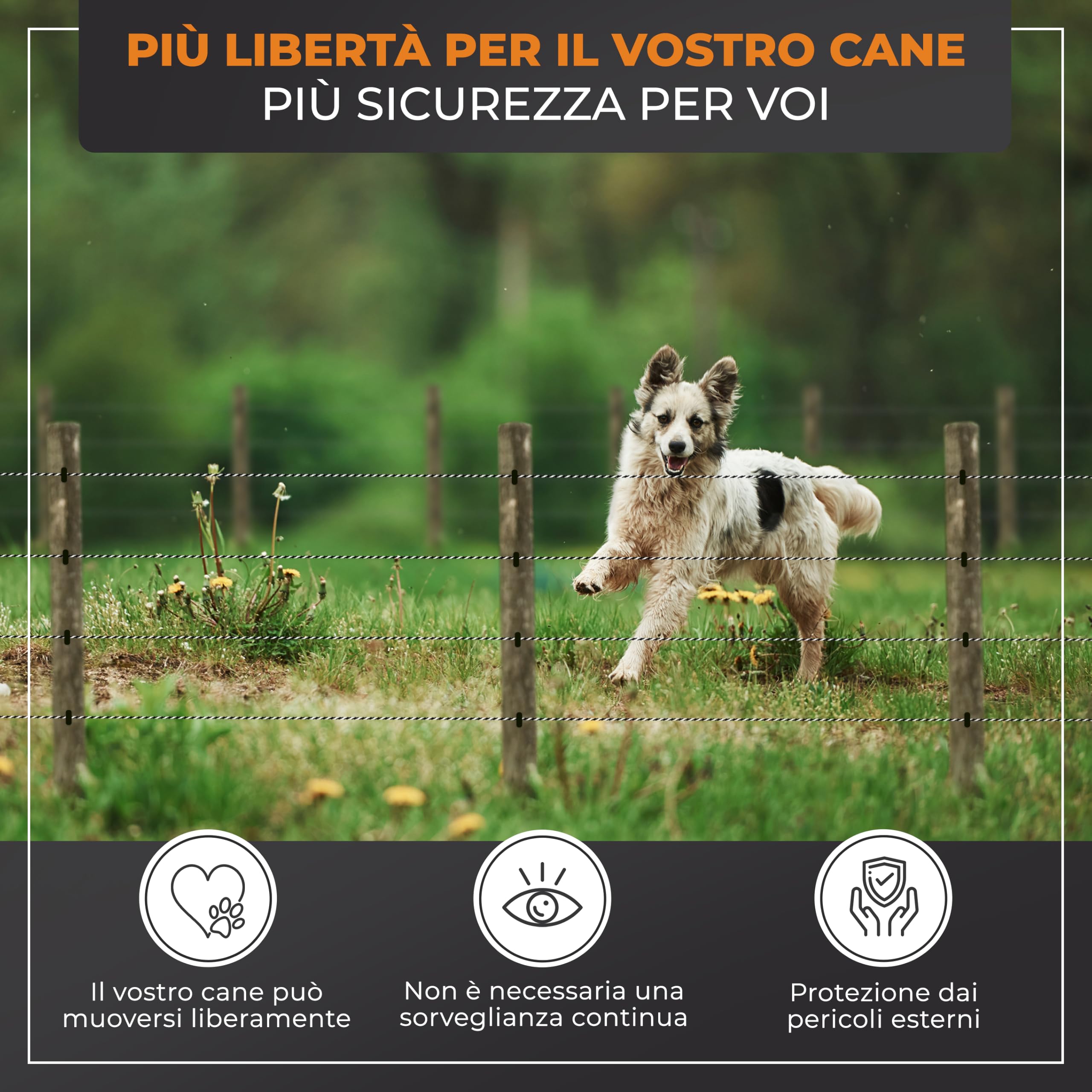 Kit completo per recinto elettrico 200m | Con filo, tester LED e pali | Con elettrificatore, 200m di filo, tester LED, pali e messa a terra | Ideale per piccoli animali