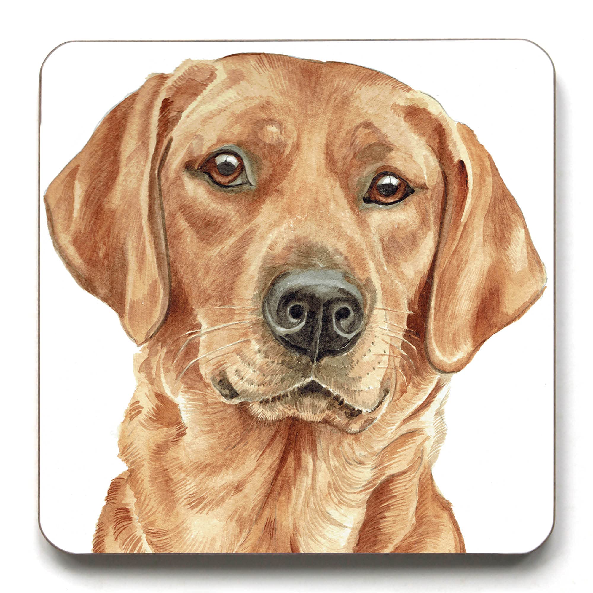 Waggydogz Red Fox Labrador Dog Breed Coaster (Cst-263)