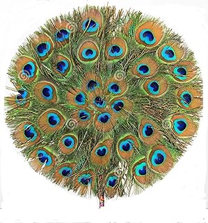 1 Pcs Beautiful Real Natural Mor Pankh Peacock Feather Fan (12 x 18 inch) for Home Decorations-picture-28