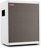 Positive Grid Spark CAB Cassa Attiva per Amplificatore di Chitarra, per Amplificatori della Serie Spark, Strumenti Multipli, Modellatori e Altro – Perla - 1
