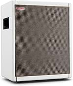 Positive Grid Spark CAB Powered Guitar Amp Speaker Cabinet for Spark Series Amps, Multiple Instruments, Modelers, and More – Pearl