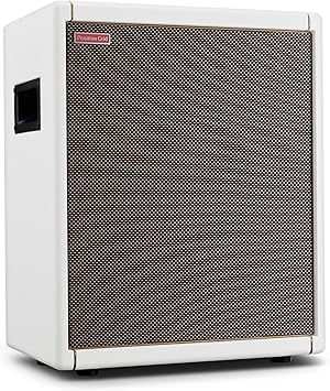Positive Grid Spark CAB Powered Guitar Amp Speaker Cabinet for Spark Series Amps, Multiple Instruments, Modelers, and More Pearl