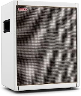 Positive Grid Spark CAB Powered Guitar Amp Speaker Cabinet for Spark Series Amps, Multiple Instruments, Modelers, and More – Pearl