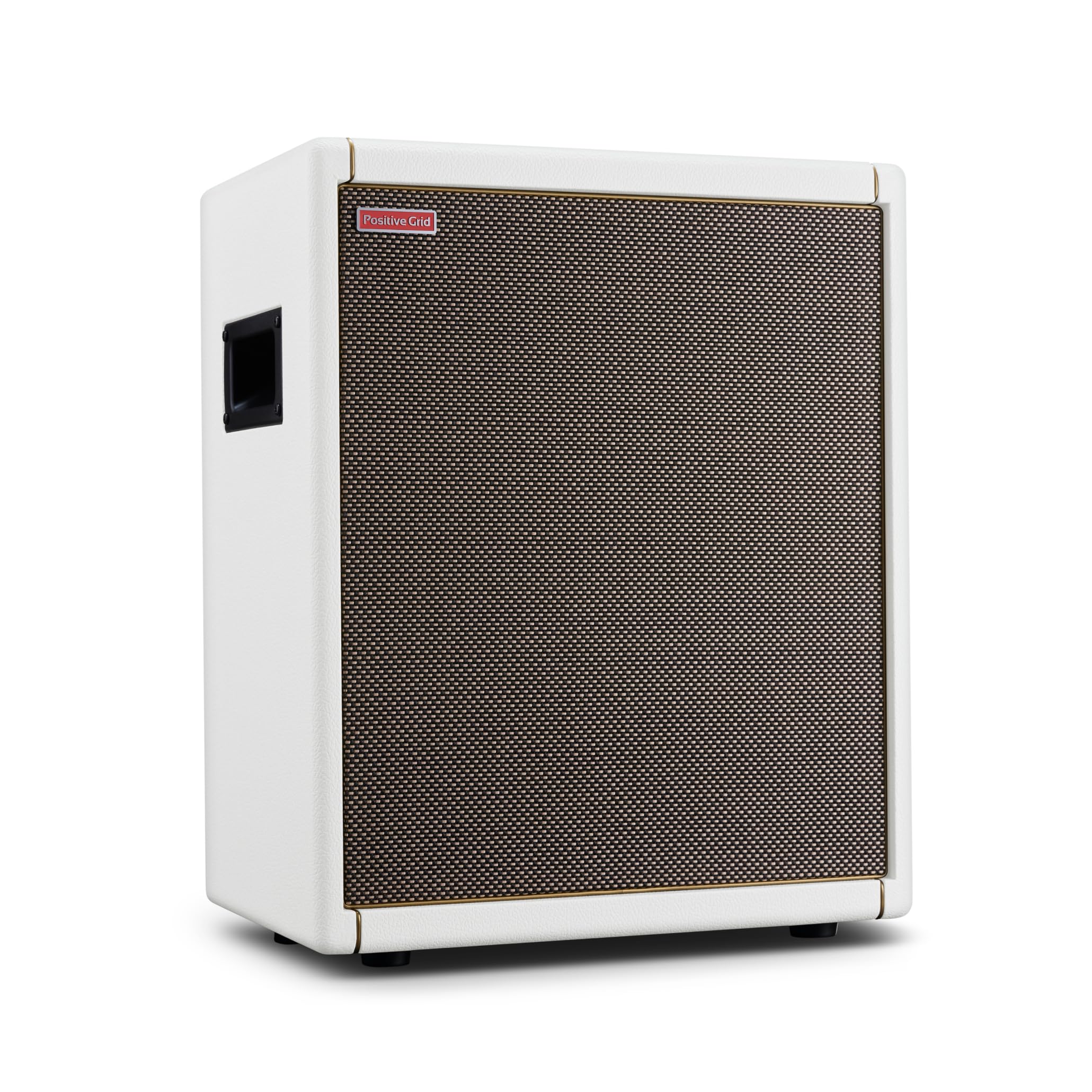 Amazon.com: Positive Grid Spark CAB Powered Guitar Amp Speaker 