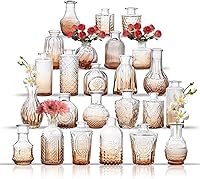 Vista 15 de Juego de jarrones de vidrio para brotes de 30 piezas, pequeños jarrones de flores, jarrones de vidrio para centros de mesa, jarrones de brotes