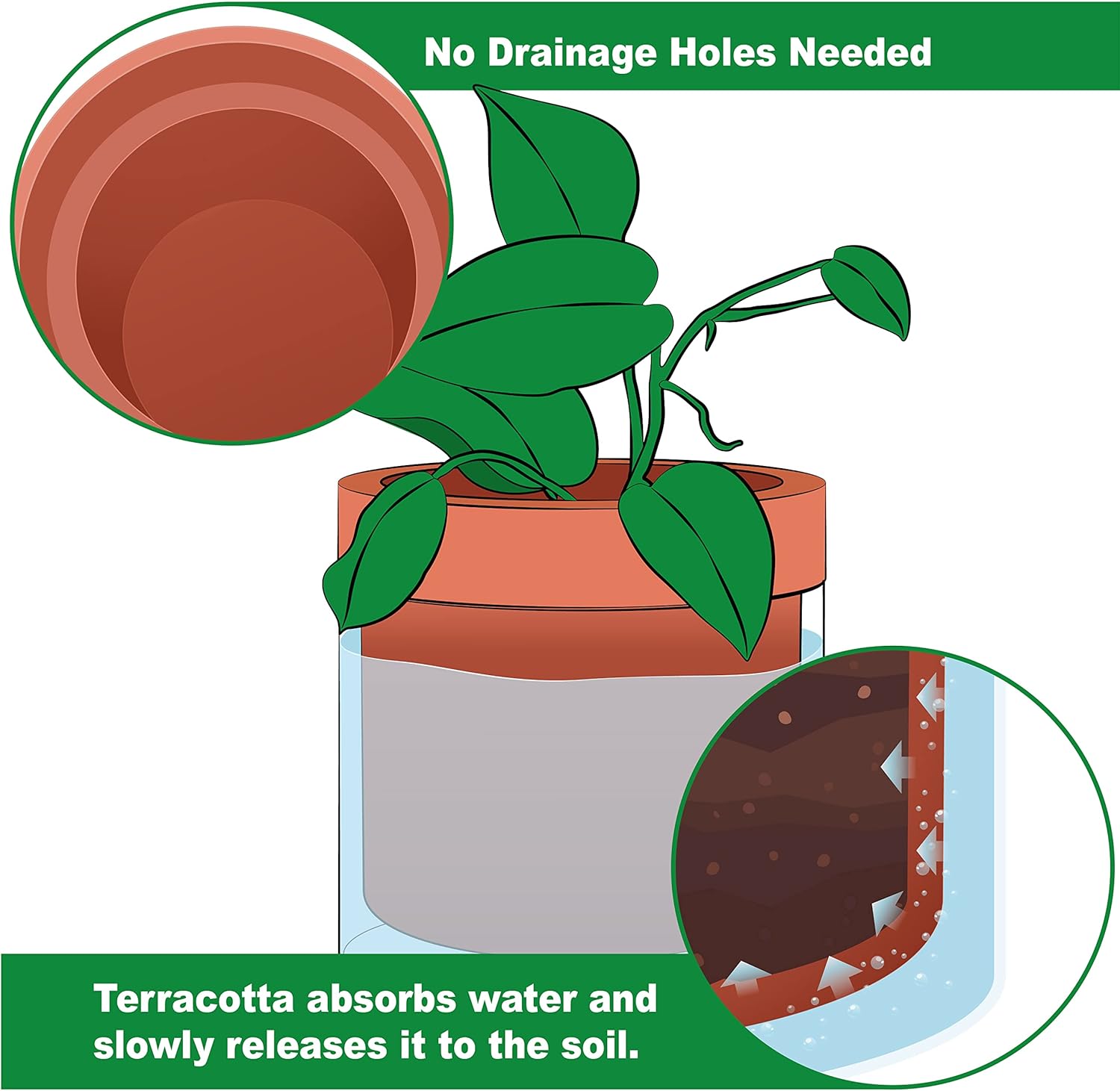 Phoenix Vine Pot à Fleurs Auto-Arrosant en Terre Cuite, Réservoir Verre 6L, Orange - Arrosage Facile et Plantes Saines - Description
