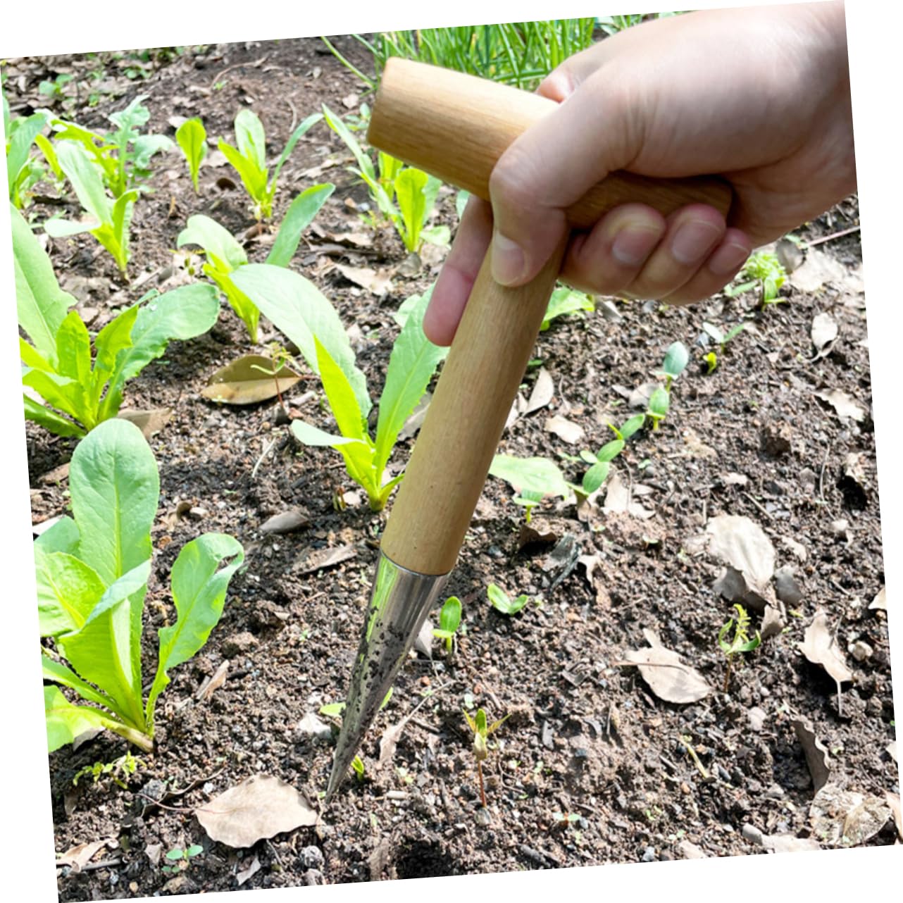 VICASKY Ergonomic Garden Hole Punch Tool Dibber for Planting Wood Handle Easy to Use