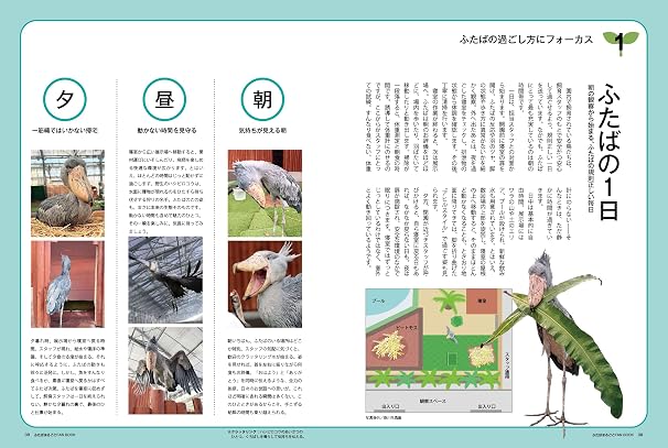 ハシビロコウのふたば まるごとfanbook タツミムック