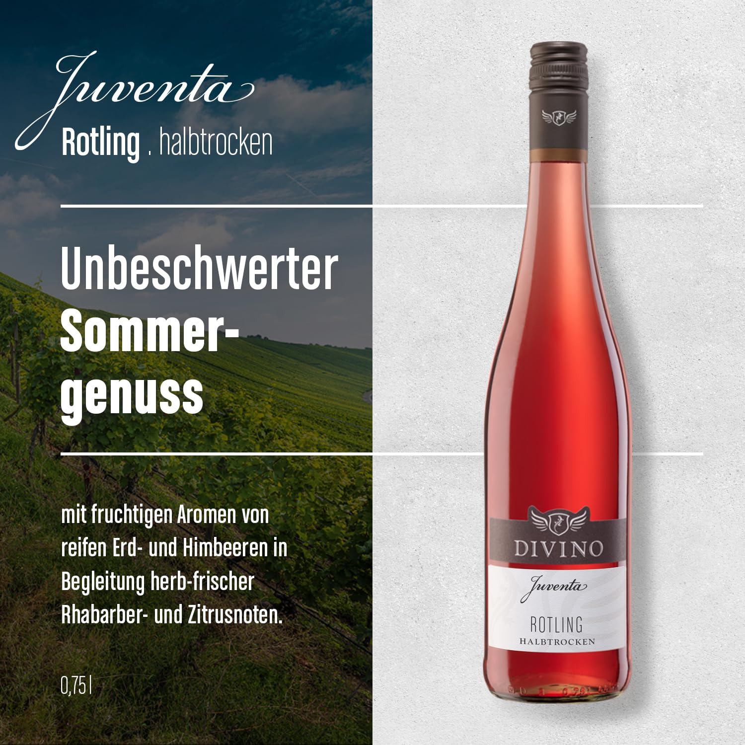 DIVINO Juventa Frankenwein Probierpaket - Silvaner, Grauer Burgunder, Scheurebe, Rotling, Merlot, Cuvée - Qualitätsweine direkt aus den Weinbergen Frankens (6 x 0,75l)
