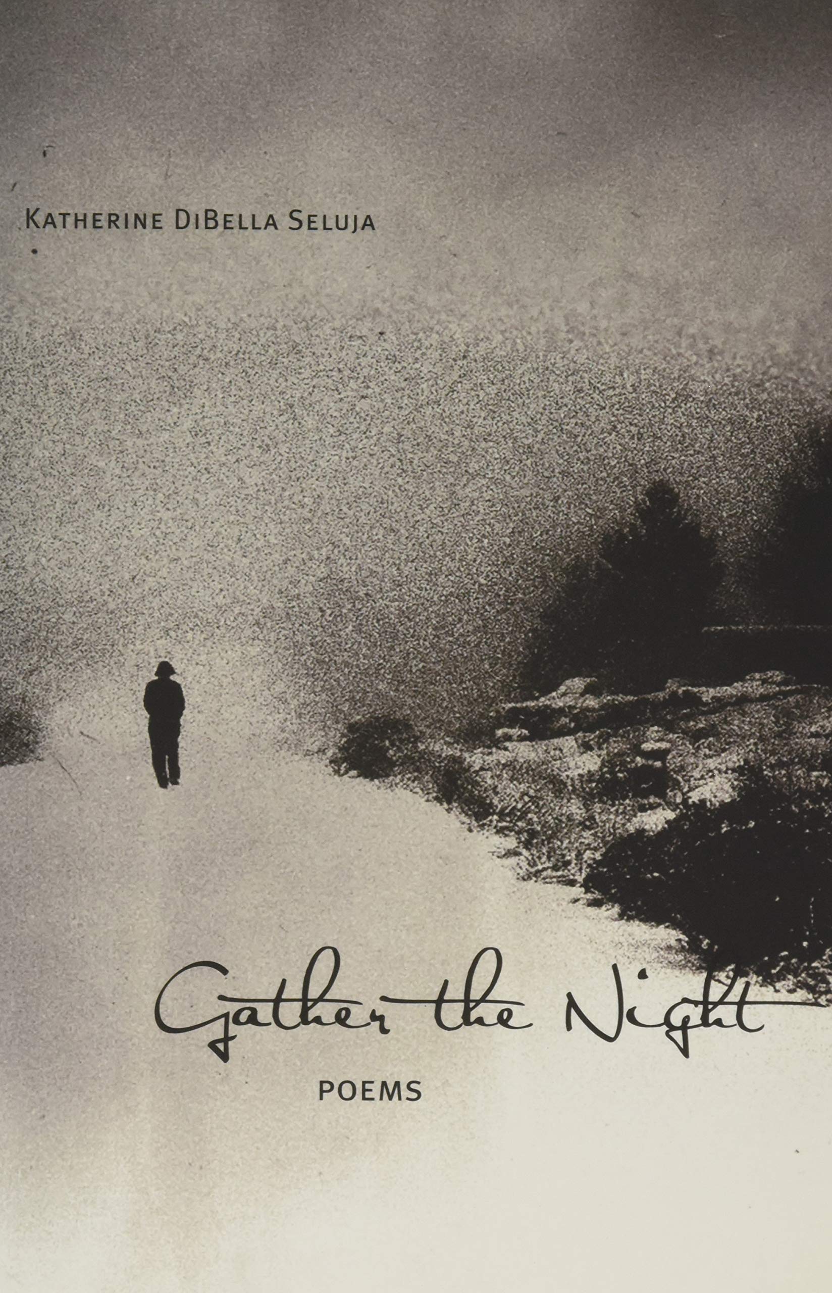 Gather the Night: Poems