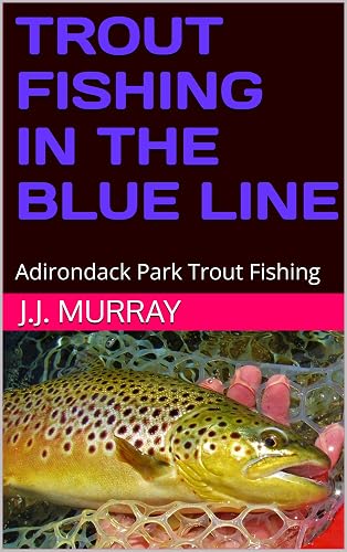 TROUT FISHING IN THE BLUE LINE: Adirondack Park Trout Fishing
