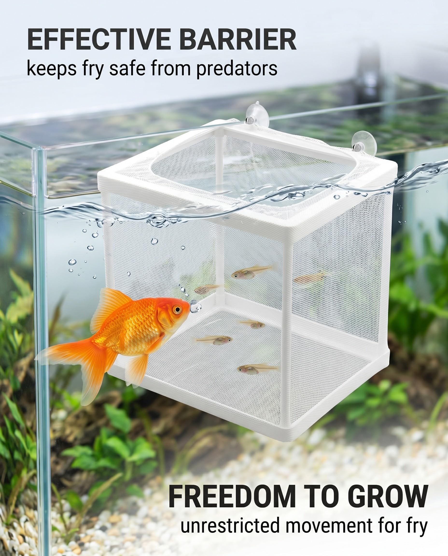 Scatola Di Allevamento Di Pesci, Incubatore Di Pesce Scatola, Isolamento Allevatore, Acquario Serbatoio Da Incubazione, Maglia Per Acquario Con Ventosa, Vivaio Di Pesci Acquario Rete