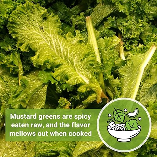Miniatura 5 de Sow Right Seeds - Semilla de verduras de mostaza Greenwave para plantar - Paquete de reliquia sin OMG con instrucciones para plantar y cultivar un