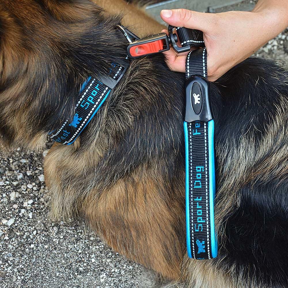 Trainingshalsband voor grote honden - 800 meter - OHS 776